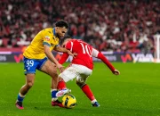 Pertarungan Sengit Estoril Praia vs Benfica: Siapa yang Akan Menang?
