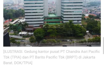 PT Barito Pacific Tbk Menghadapi Tantangan di Bursa Saham