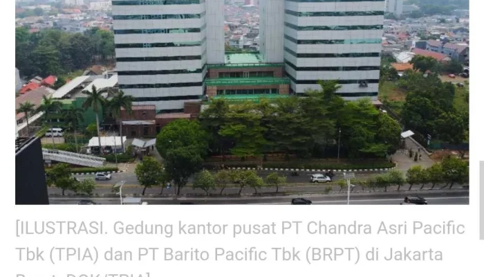 PT Barito Pacific Tbk Menghadapi Tantangan di Bursa Saham