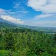 Puncak Bogor: Menjelajahi Keindahan Alam dan Pembangunan Daerah