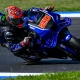 Quartararo Temukan Feeling dengan Yamaha V4 di Le Mans