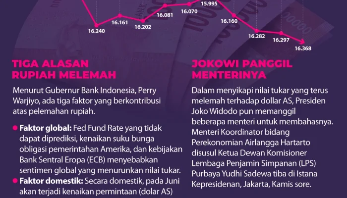 Rupiah Kembali Melemah, Apa yang Harus Dilakukan?