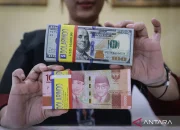 Rupiah Melemah, Apakah Ini Awal dari Keterpurukan Ekonomi Indonesia?