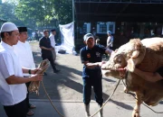 Shalat Idul Adha dan Penyembelihan Hewan Kurban: Waktu dan Ketentuan