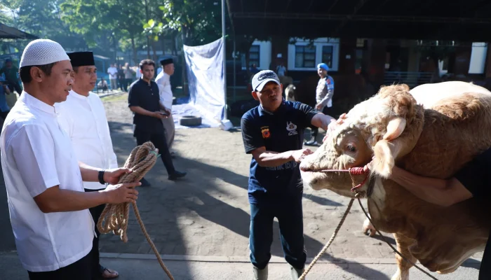 Shalat Idul Adha dan Penyembelihan Hewan Kurban: Waktu dan Ketentuan