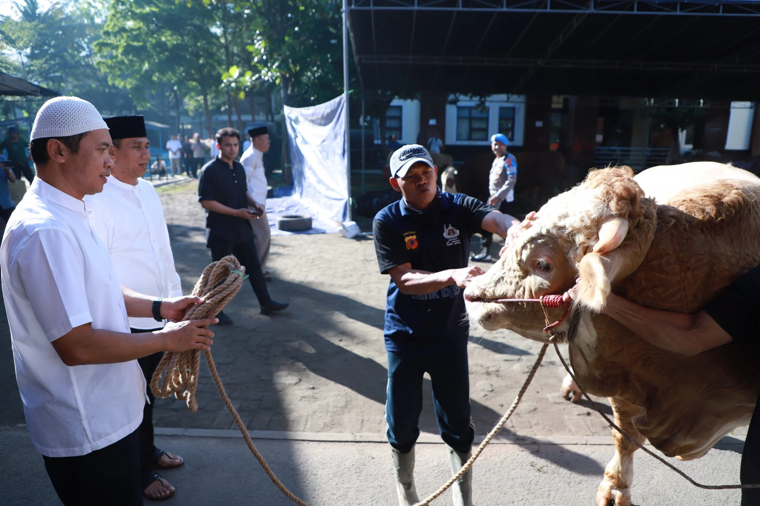 Shalat Idul Adha dan Penyembelihan Hewan Kurban: Waktu dan Ketentuan