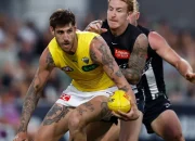 Skandal Disinformasi di Dunia Olahraga: Kasus Richmond Tigers dan Sydney Swans