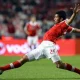 SL Benfica dan Tottenham Hotspur dalam Sorotan: Transfer dan Cedera Pemain