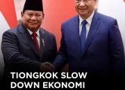 Tiongkok dan Indonesia dalam Dinamika Ekonomi dan Politik Global