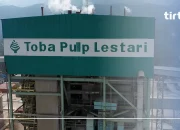 Toba Pulp Lestari PHK 80 Persen Karyawan, Walhi Gugat Intervensi Kasus Bencana Ekologis Tapanuli