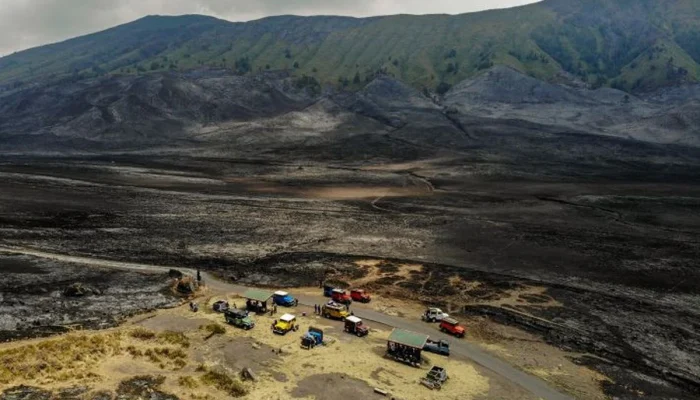 Tragedi Jumat di Gunung Bromo dan Berita Lainnya
