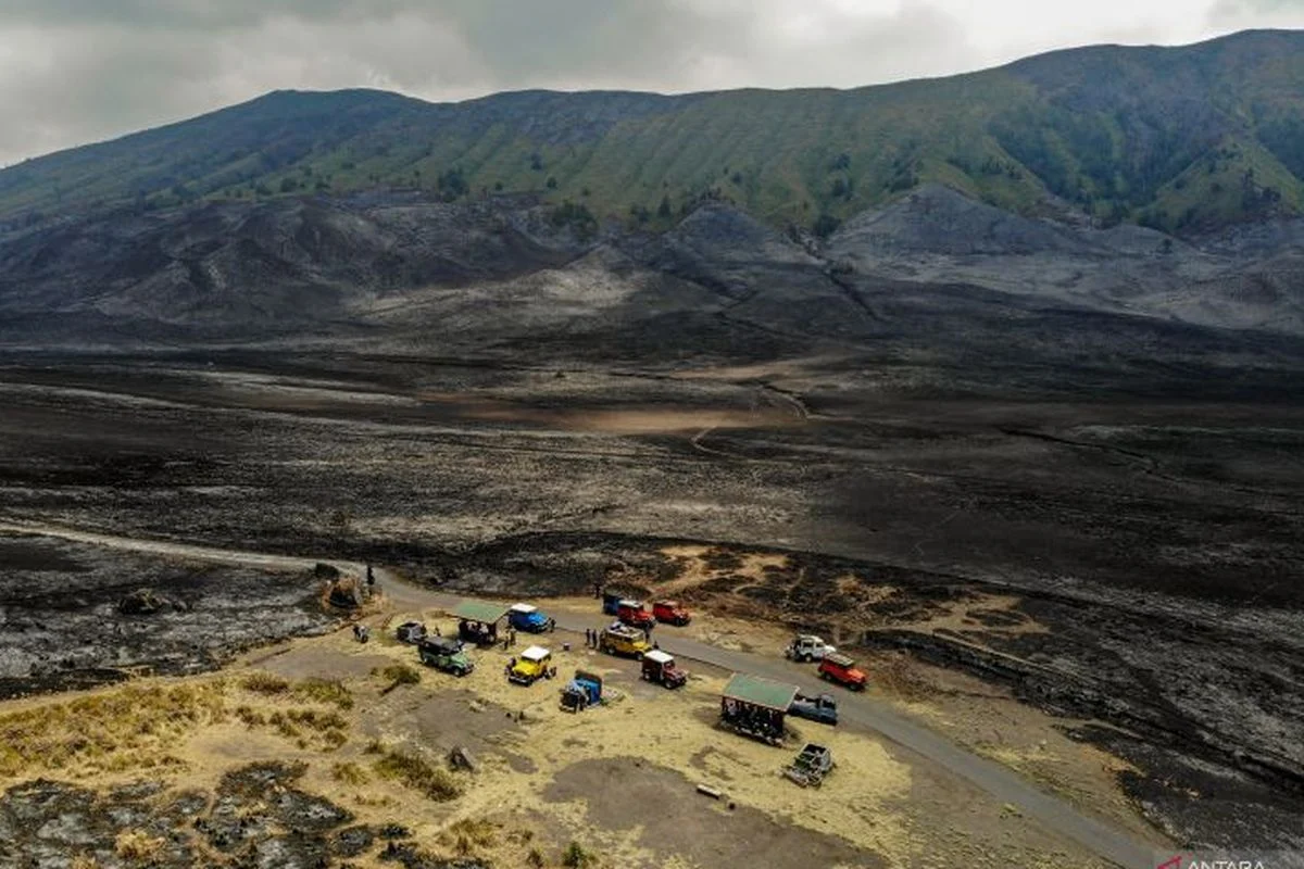 Tragedi Jumat di Gunung Bromo dan Berita Lainnya