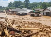 UMKM di Daerah Terdampak Bencana Sumatera Melonjak, Ini Faktornya