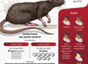 Virus Hantavirus: Mengenal Gejala, Cara Penularan, dan Risiko Pandemi