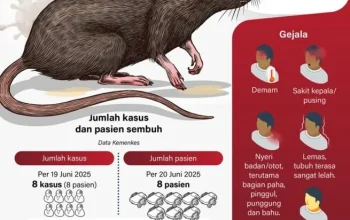 Virus Hantavirus: Mengenal Gejala, Cara Penularan, dan Risiko Pandemi