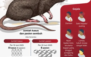 Waspada Hantavirus: Kasus di Kapal Pesiar Meningkat, 12 Kasus dan 3 Kematian Dilaporkan