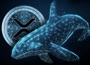 XRP Ledger Mengalami Peningkatan Aktivitas, Whales Akumulasi dan Institusi Dorong