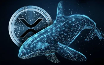 XRP Ledger Mengalami Peningkatan Aktivitas, Whales Akumulasi dan Institusi Dorong