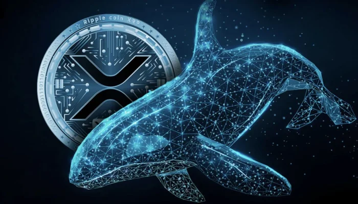 XRP Ledger Mengalami Peningkatan Aktivitas, Whales Akumulasi dan Institusi Dorong