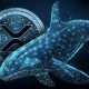 XRP Ledger Mengalami Peningkatan Aktivitas, Whales Akumulasi dan Institusi Dorong