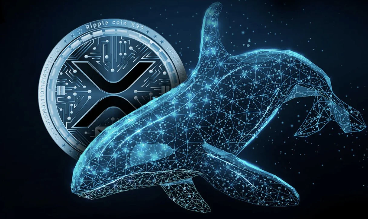 XRP Ledger Mengalami Peningkatan Aktivitas, Whales Akumulasi dan Institusi Dorong