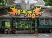 Bandung Zoo Siap Dikelola Faunaland, Tapi Kapan Bisa Dibuka Lagi?