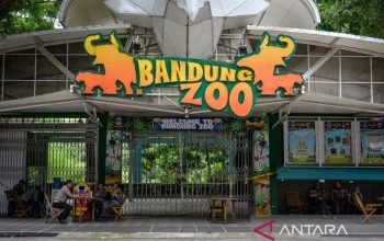 Bandung Zoo Siap Dikelola Faunaland, Tapi Kapan Bisa Dibuka Lagi?