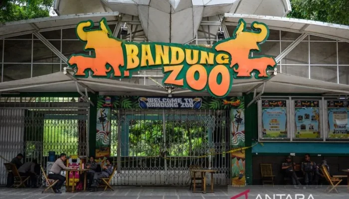 Bandung Zoo Siap Dikelola Faunaland, Tapi Kapan Bisa Dibuka Lagi?