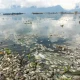 Berita Terkini: Dari Kematian Ikan di Como Lake Hingga Persiapan Piala Dunia