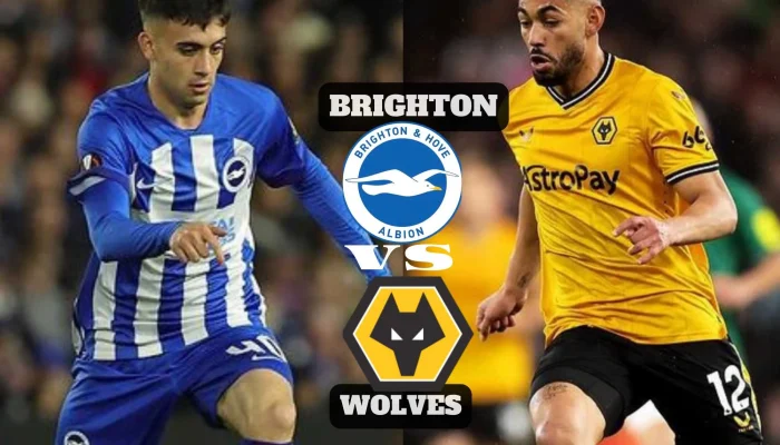 Brighton dan Wolves Dalam Persaingan Liga Premier: Update Transfer dan Pertandingan