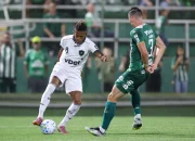 Chapecoense vs Botafogo: Persaingan Sengit di Lapangan dan Kontroversi di Luar Lapangan