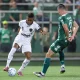 Chapecoense vs Botafogo: Persaingan Sengit di Lapangan dan Kontroversi di Luar Lapangan
