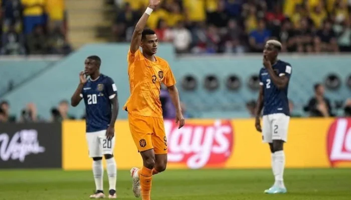 Cody Gakpo Terancam Kehilangan Posisi di Piala Dunia 2026