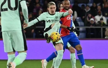 Crystal Palace Jadi Sorotan: Dari Persiapan Pemain Chelsea Hingga Pertarungan UFC