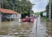 Cuaca Ekstrem dan Konflik Politik Mengganggu Kehidupan Sehari-Hari
