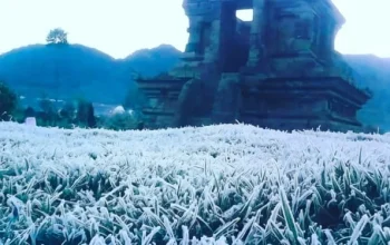 Cuaca Ekstrem Mengguncang Indonesia: Dari Embun Es di Dieng hingga Gempa di Kepulauan Sangihe