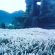 Cuaca Ekstrem Mengguncang Indonesia: Dari Embun Es di Dieng hingga Gempa di Kepulauan Sangihe