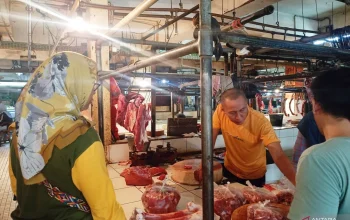 Daging Sapi: Antara Konflik di Lapangan dan Keseruan di Restoran