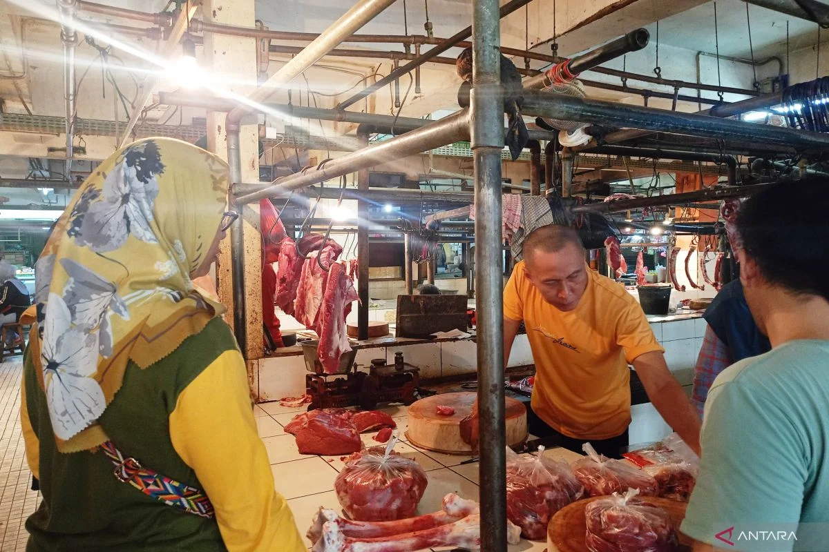 Daging Sapi: Antara Konflik di Lapangan dan Keseruan di Restoran