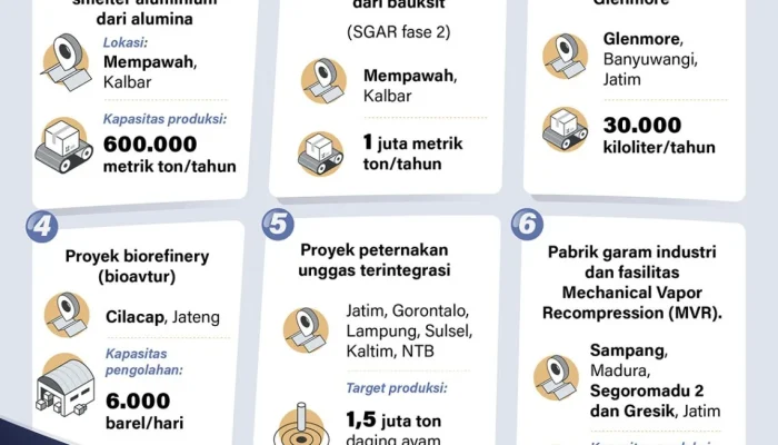 Danantara Setujui Anggaran Proyek Hilirisasi Ayam Rp 5 Triliun