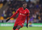 Divock Origi Pensiun: Mengingat Karier Gemilang Pemain Belgia di Liverpool