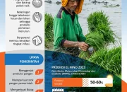 El Nino: Ancaman Bagi Kesehatan dan Pangan