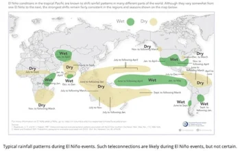 El Niño: Ancaman Musim Kemarau dan Dampaknya pada Indonesia dan Dunia