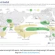 El Niño: Ancaman Musim Kemarau dan Dampaknya pada Indonesia dan Dunia