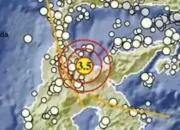 Gempa Bumi dan Ikan Mati di Sulawesi Tengah: Berita Terkini