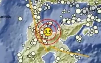 Gempa Bumi dan Ikan Mati di Sulawesi Tengah: Berita Terkini