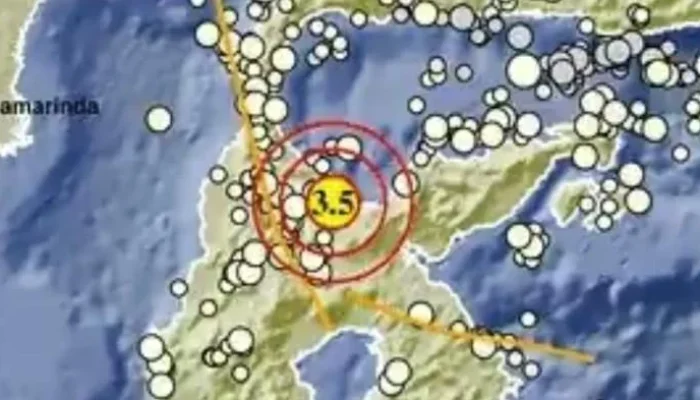 Gempa Bumi dan Ikan Mati di Sulawesi Tengah: Berita Terkini
