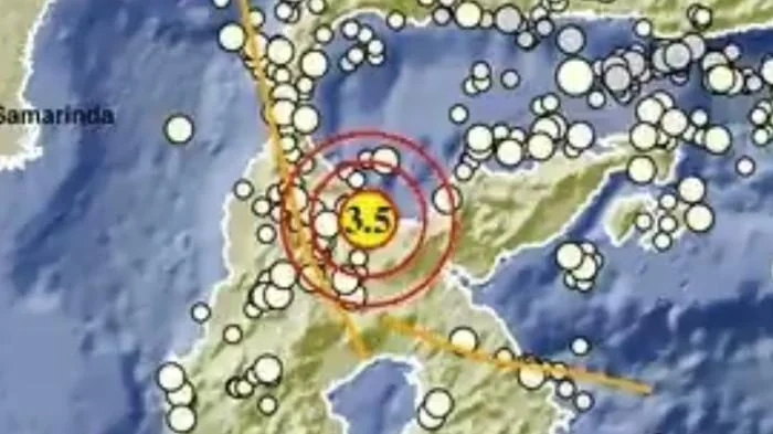 Gempa Bumi dan Ikan Mati di Sulawesi Tengah: Berita Terkini
