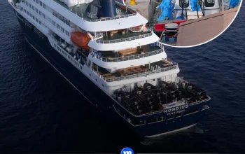 Hantavirus Infections Cruise Ship: Ancaman Nyata atau Mitos?