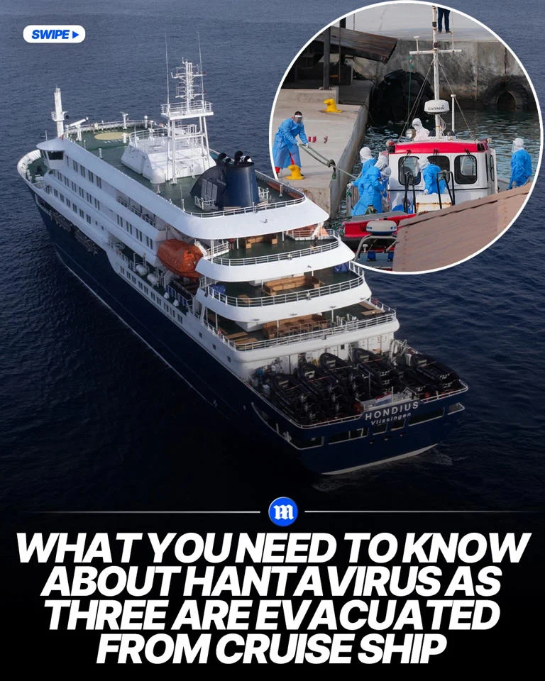 Hantavirus Infections Cruise Ship: Ancaman Nyata atau Mitos?